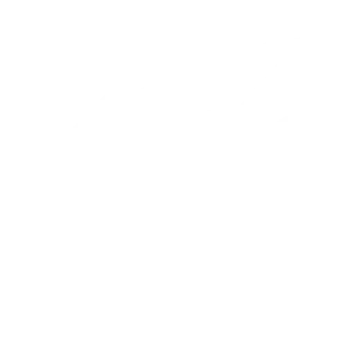 Investment Icon
